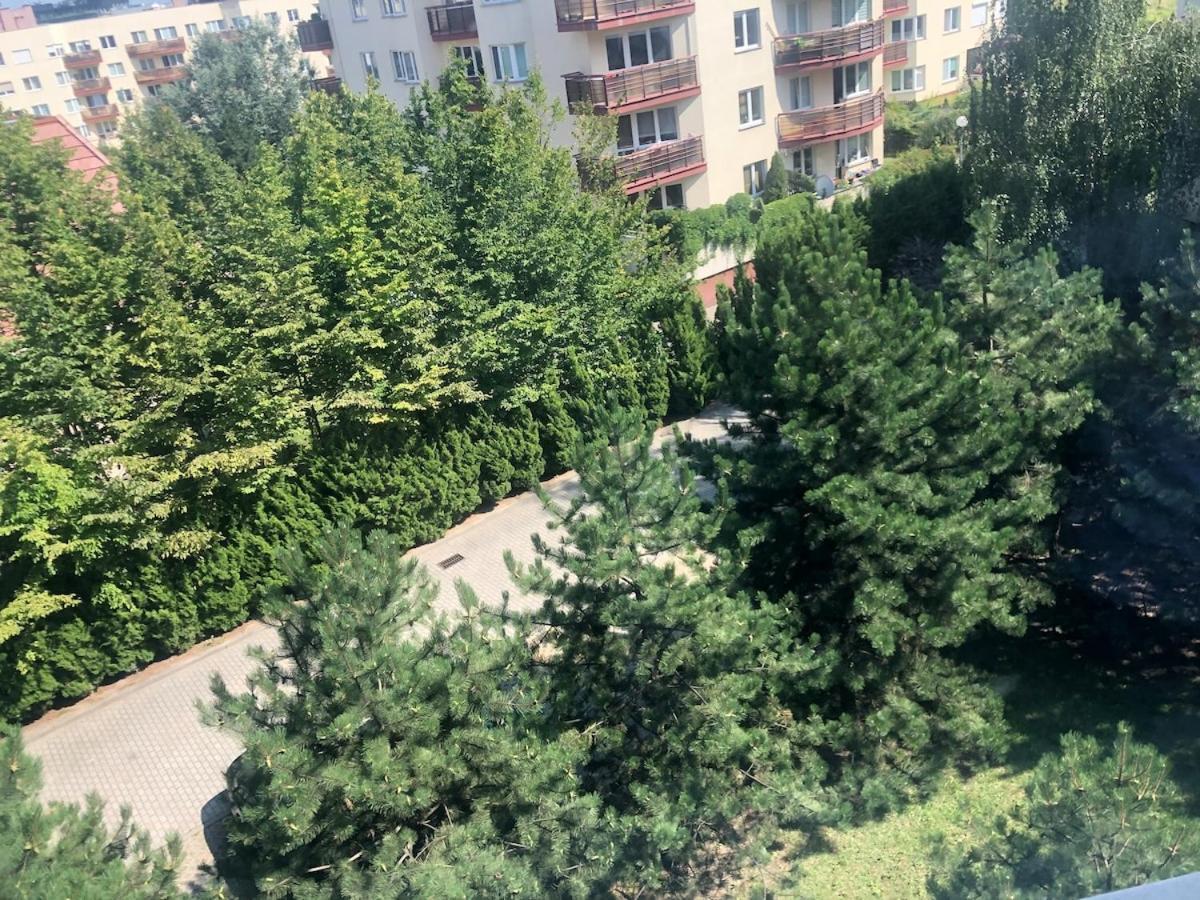 New 2floor Security Park Mall Airport Apartament *